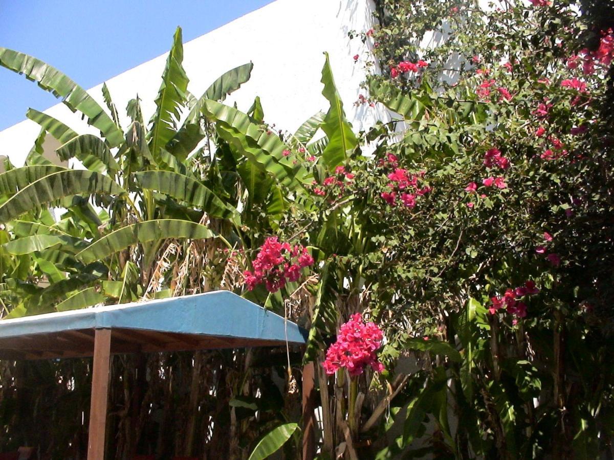 Sea Breeze 2 Apartments Mastichari  Luaran gambar