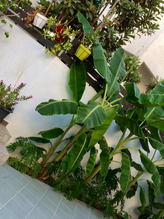 Sea Breeze 2 Apartments Mastichari  Luaran gambar